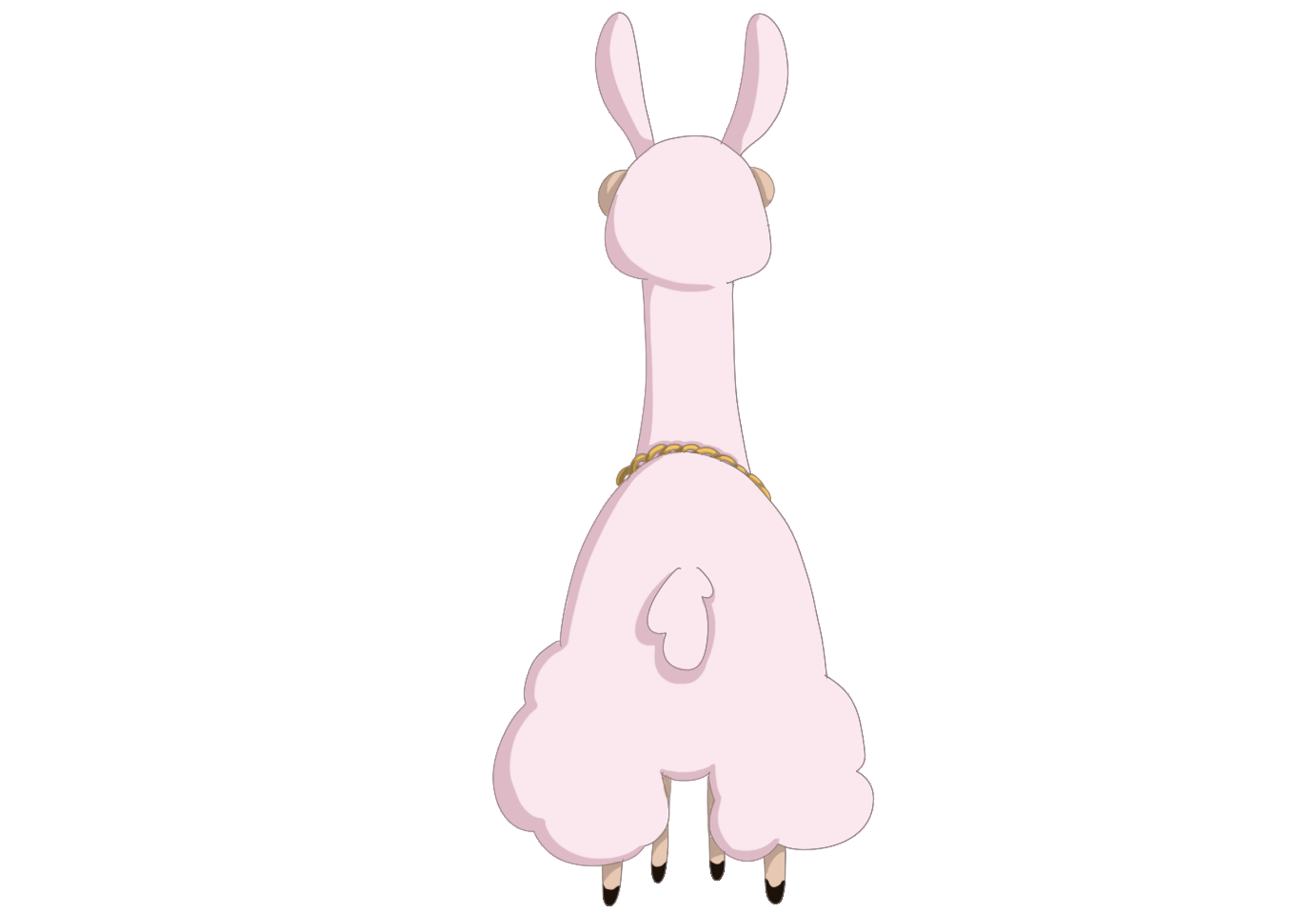 Back Llama